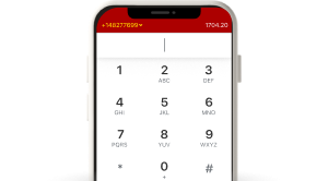 eSIM internet + Zadarma telephony